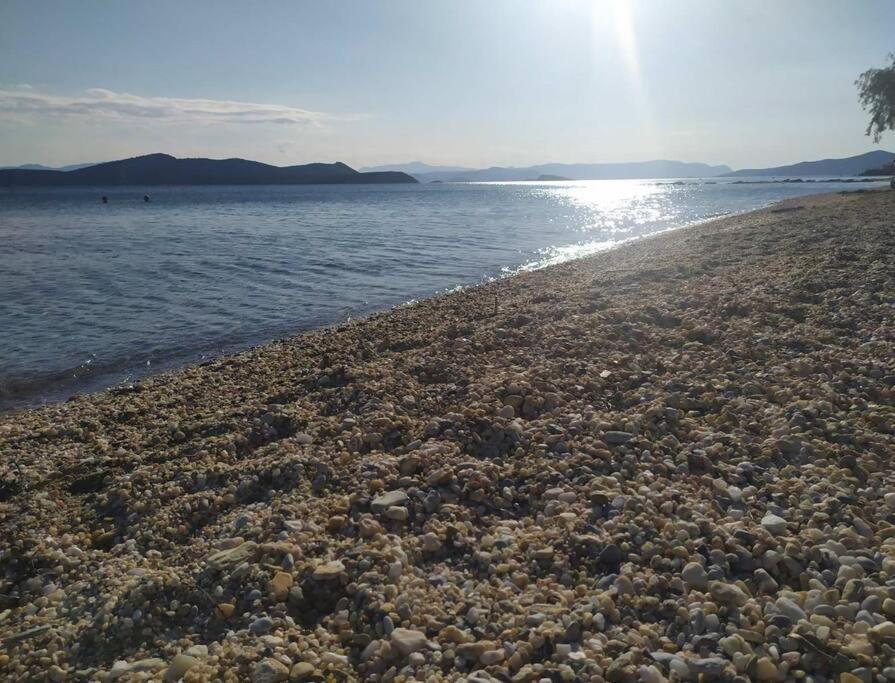 Villa Το Σπίτι Της Μαργαρίτας Στην Παραλία à Nea Styra Extérieur photo